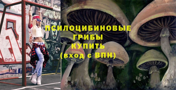 спиды Михайлов