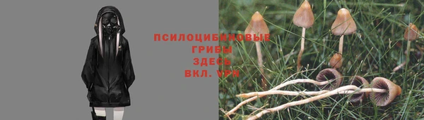 экстази Михайловск
