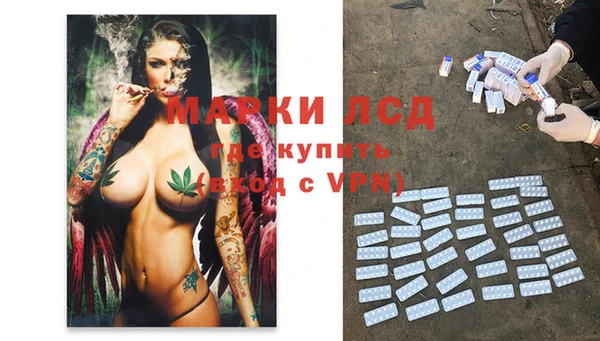 спиды Михайлов