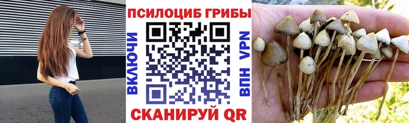 Псилоцибиновые грибы GOLDEN TEACHER  Юхнов 